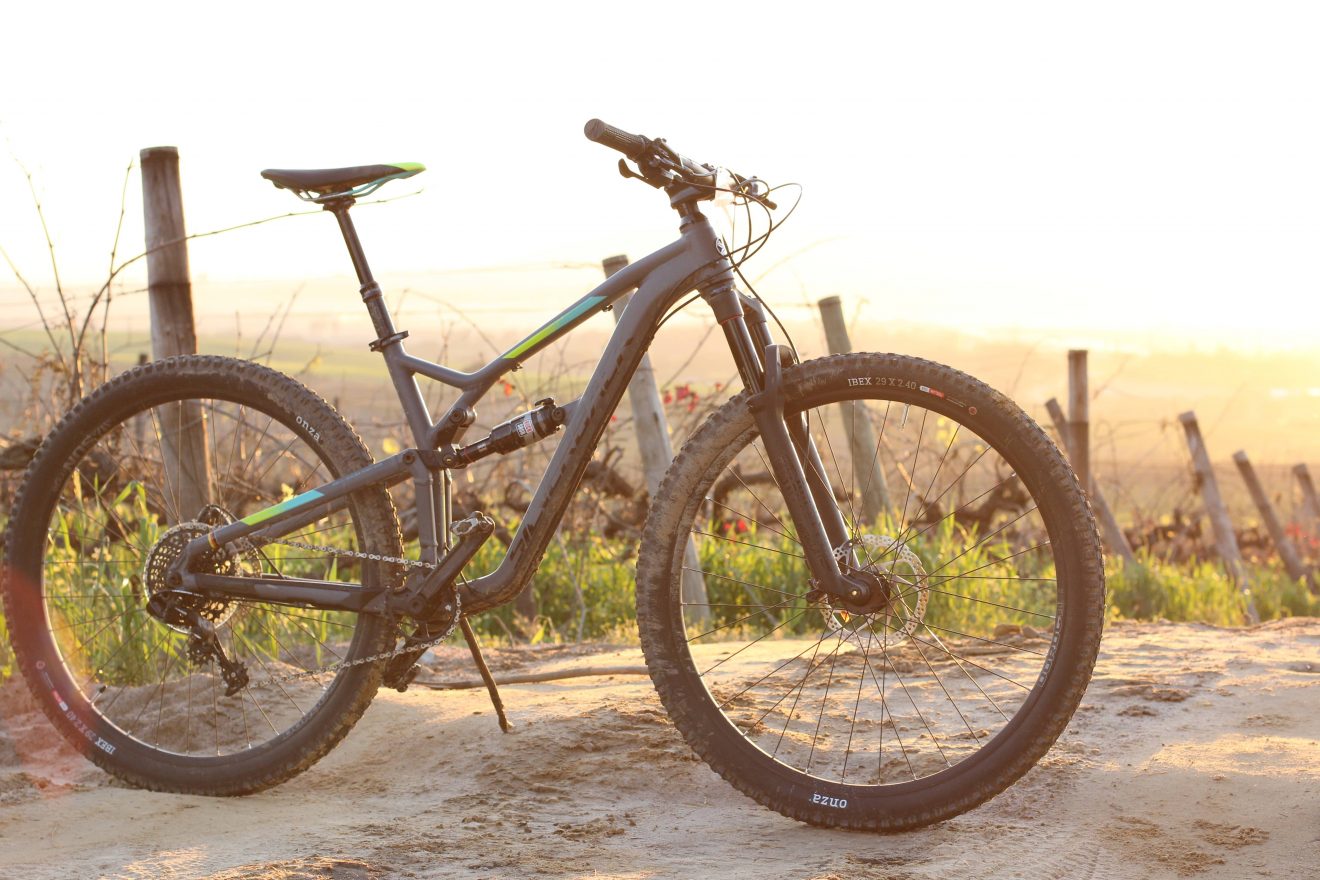 Silverback Surface Review – Large and in Charge | Spark Bike