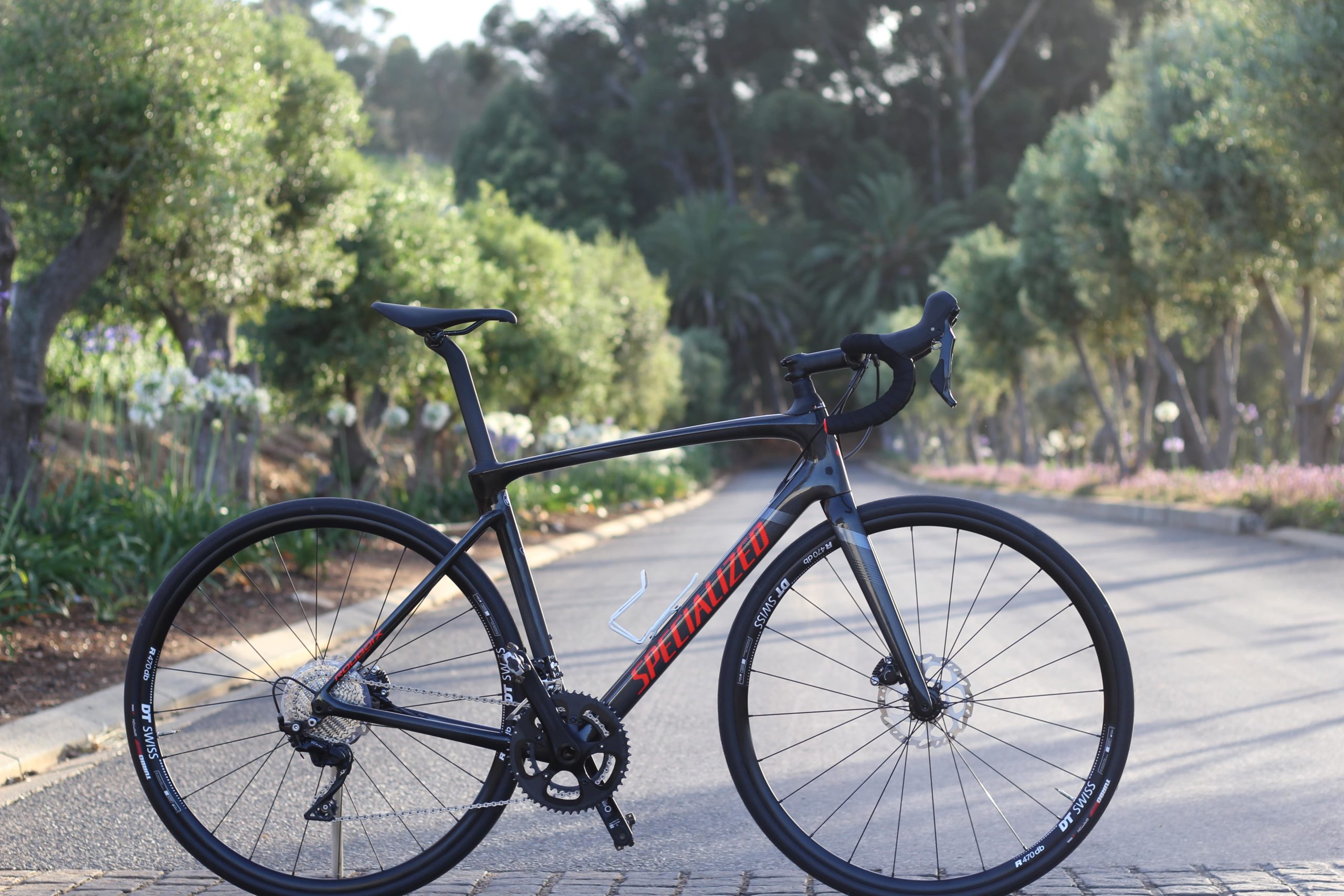 specialized road bike reviews